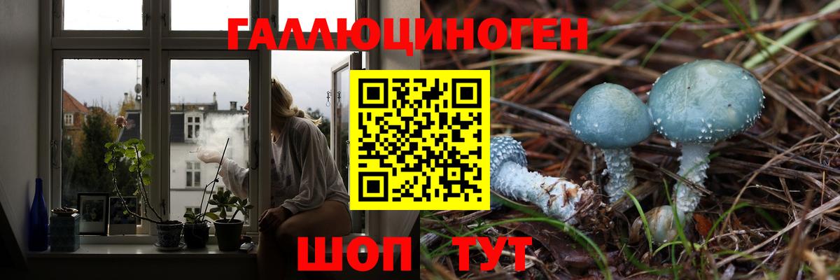 Псилоцибиновые грибы ЛСД Кировск